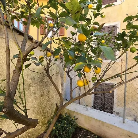 Giovanna's Home, Historic Town House With Garden *