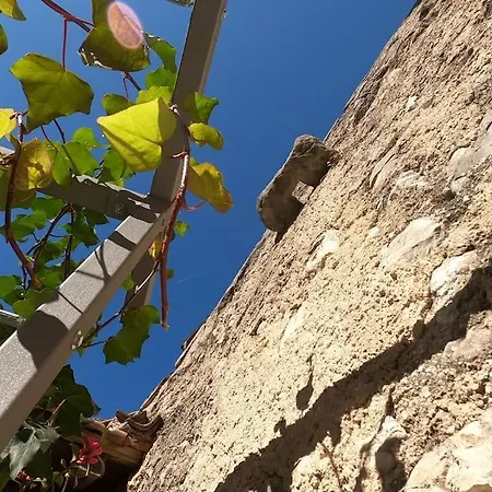 Giovanna's Home, Historic Town House With Garden Holiday home Riva del Garda